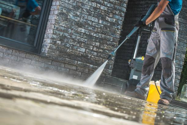 Animal Enclosure Cleaning in Bloomfield, IN